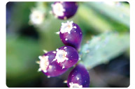 4 첨부파일 : 4.jpg